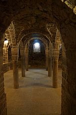 Cripta Canònica de Sant Vicenç de Cardona 3