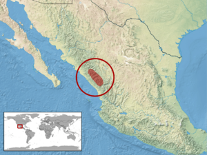 Crotalus stejnegeri distribution.png