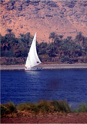 Dhows on the Nile