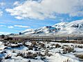 Diamond Mtns NV 1-31-13