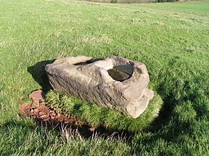 Dipping Stone