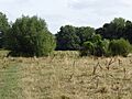 Eaton Common 2