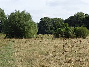 Eaton Common 2