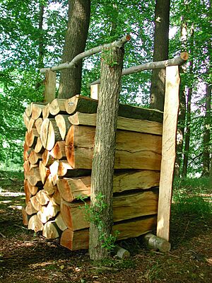 Ein Raummeter Holz