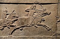 Exhibition I am Ashurbanipal king of the world, king of Assyria, British Museum (31033563287).jpg