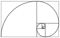Fibonacci spiral 34