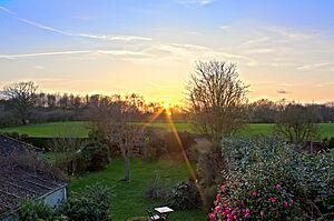 Fields behind Shenfield