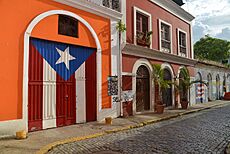 Flag gate calle de la virtud viejo san juan puerto rico 2021-08-08 17-18-27 1