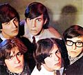 Gatos-1967
