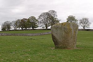 Photo of the Goggleby Stone