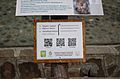 Hamadryas baboon - QRpedia at Skopje Zoo