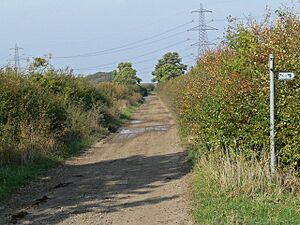 Heading north along Sewstern Lane - geograph.org.uk - 1031610