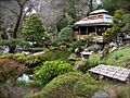 Japanese Tea Garden