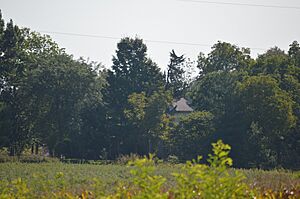 John Henry Thompson House through the trees