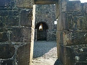 Killaloe (Co. Clare), St. Molua's Church (4)