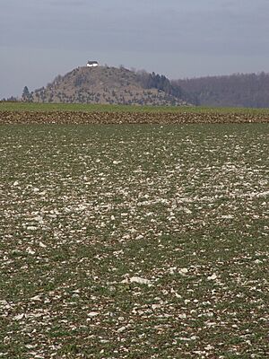 Kornbühl Salmendingen2