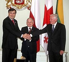 Lech Kaczyński, Mikheil Saakashvili and Valdas Adamkus in Tblisi 2007