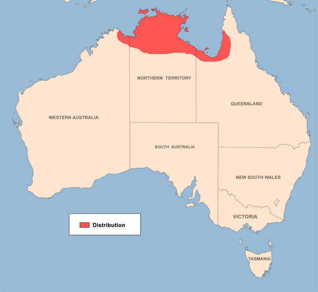 Litoria dahlii distribution map
