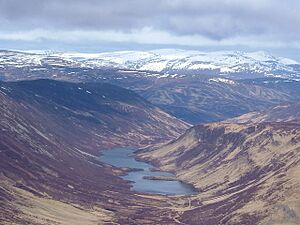 Loch Loch from summit of Ben Vuirich - geograph.org.uk - 1075199