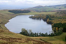 Long Loch, Angus.jpg