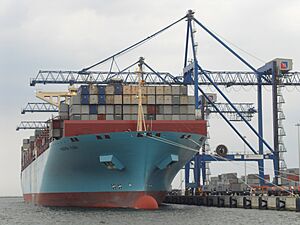 Maersk Elba in Gdańsk