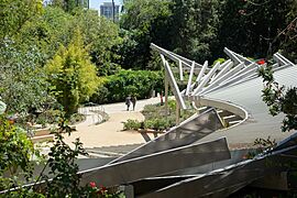 Mildred E. Mathias Botanical Garden - University of California, Los Angeles - DSC02663