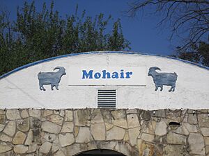 Mohair sign, Camp Wood, TX IMG 1326