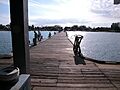 My Day on Anna Maria Island - Nov 30 2009 048