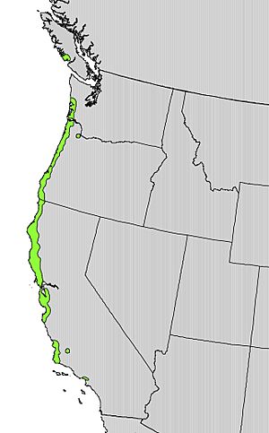 Myrica californica range map.jpg