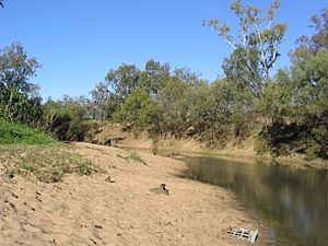 Namoi-River-sand-bank