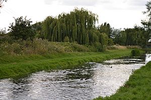 New River in King's Meads 4