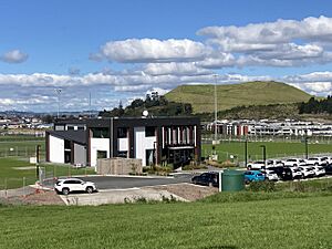 Ngahue Reserve (cropped)