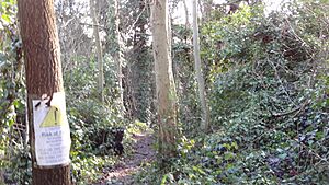 Perivale Wood