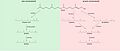 Phytol diagenesis producing pristane and phytane jpeg