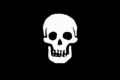 Pirate Death's Head Flag