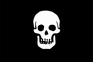 Pirate Death's Head Flag