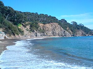 Plage Bonneterres