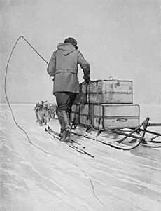 Polar transport (Amundsen)