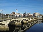 Pontevedra Capital Puente Burgo.jpg