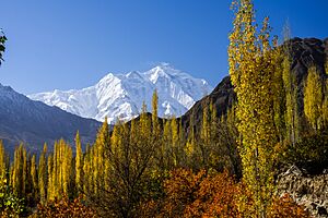 Rakaposhi & Autumn