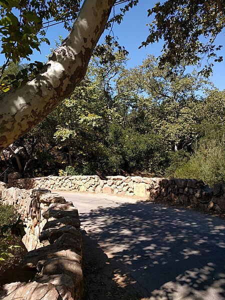 Rattlesnake Canyon Bridge -Travelling West