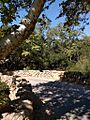 Rattlesnake Canyon Bridge -Travelling West