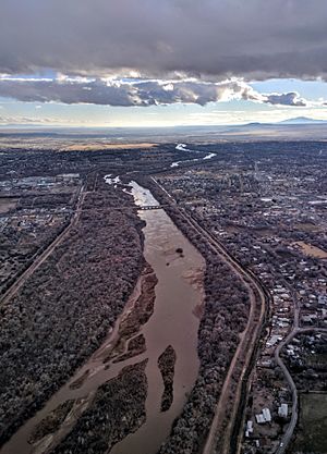 Rio Grande looking south, west of ABQ