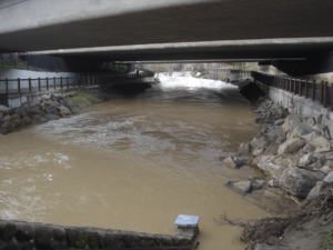 SantaRosaCreekFloodUnder101