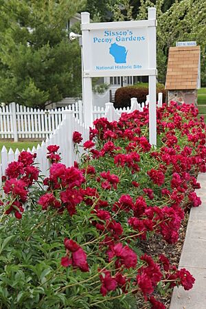 Sissons Peony Gardens flowerbed