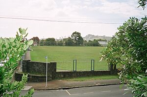 St Peter's College-The Cage Rugby field (former Brewery land)
