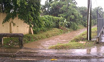 Stream near San Patricio Plaza in Guaynabo, Puerto Rico