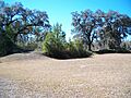 Sumatra FL Fort Gadsden site02