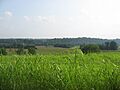 Tebbs Bend Battlefield