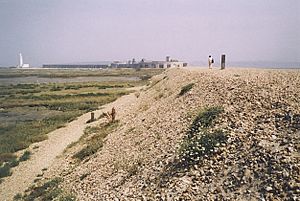 The Shingle Spit at Hurst Beach - geograph.org.uk - 178625.jpg